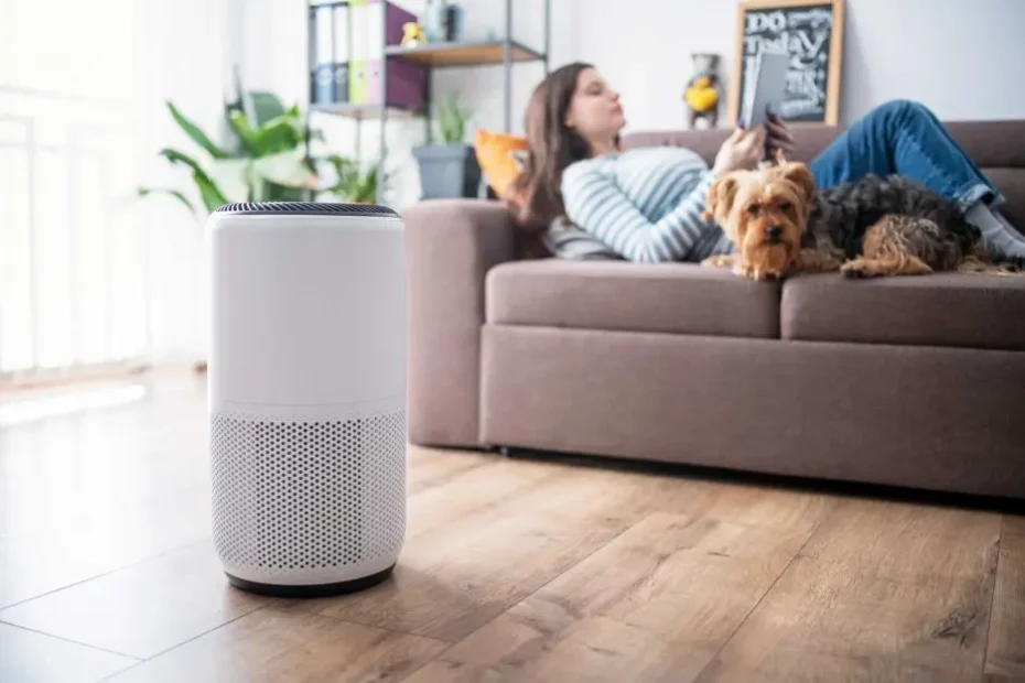 Development Boards for Air Purifiers